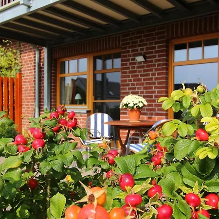 Ferienwohnung Sonnenblume *